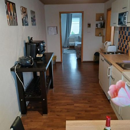 Kleine Wohnung Fuer Monteure Und Dienstreisen Zwickau Exteriör bild